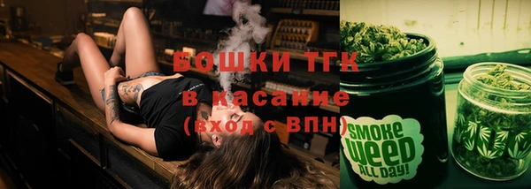 сатива Ростов