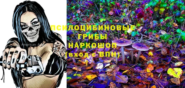 сатива Ростов