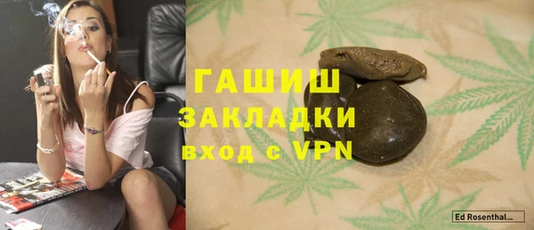 сатива Ростов