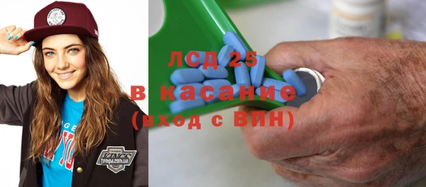 сатива Ростов