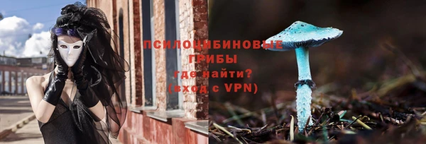 сатива Ростов