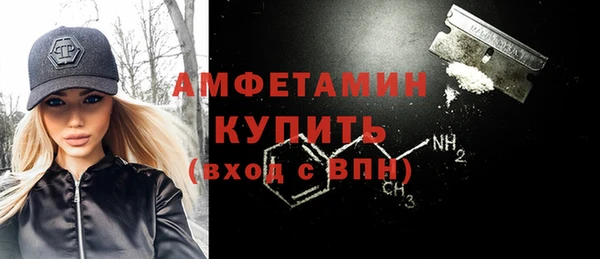 сатива Ростов