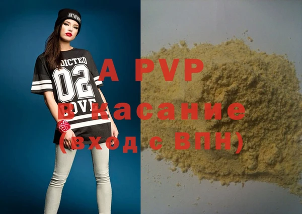 сатива Ростов